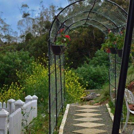 Newbury Villa Nuwara Eliya Dış mekan fotoğraf